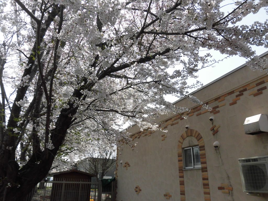 こどもの日お楽しみ会